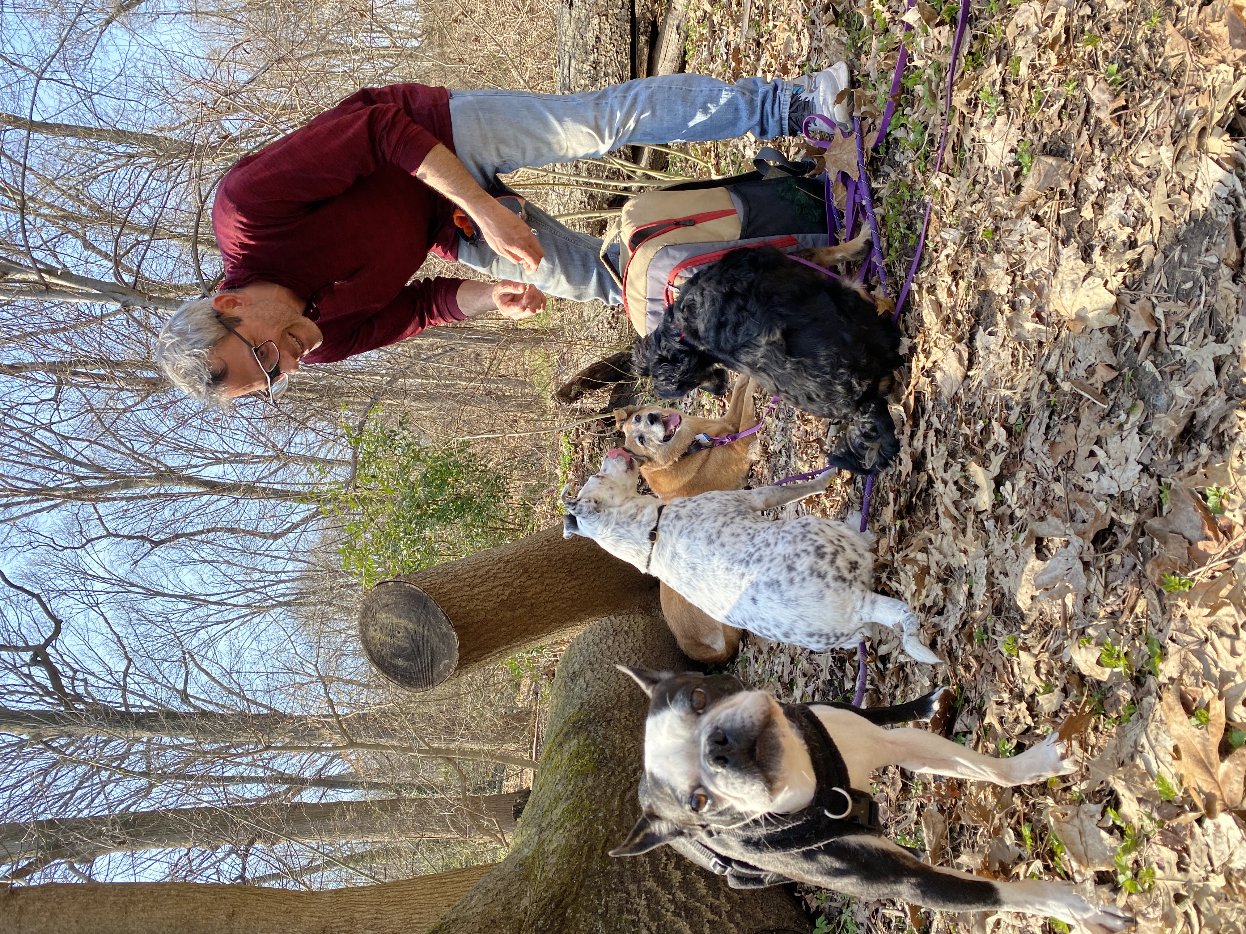 Pablo Povarchik with dogs during a mission in Prospect Park